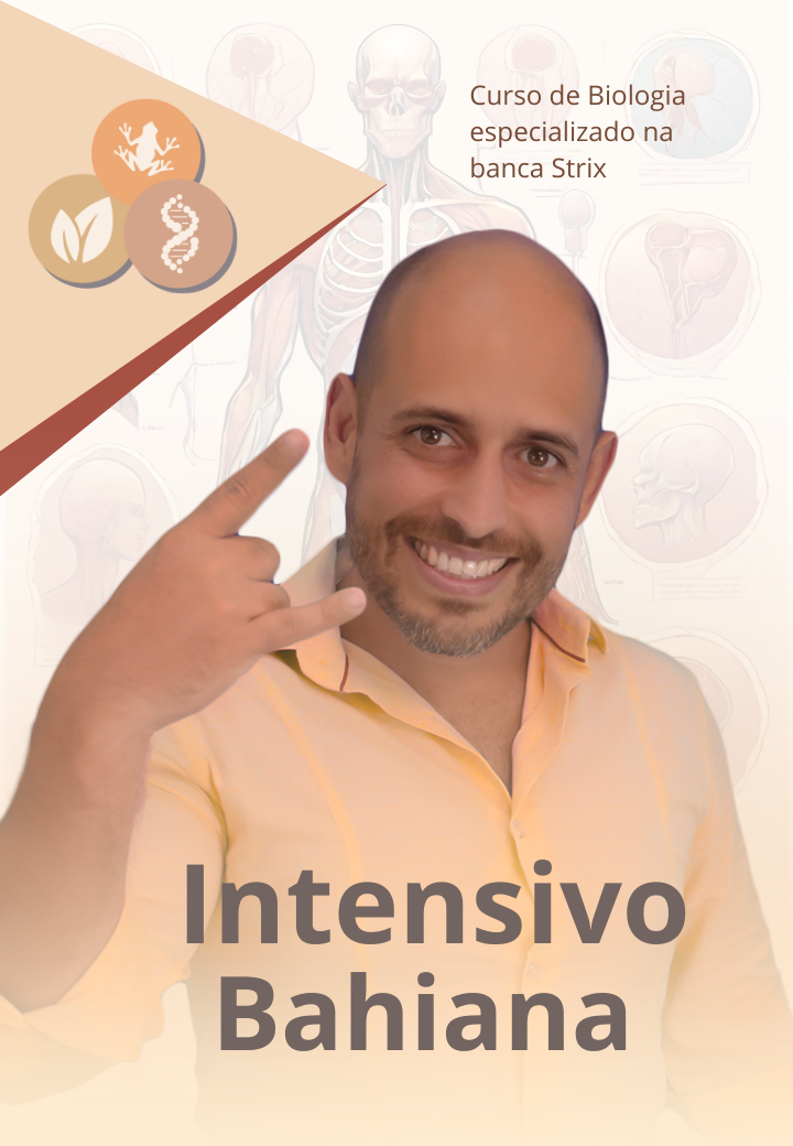 Imagem do avatar
