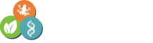 LOGO ORIGINAL BRANCO 2 (SEM FUNDO)